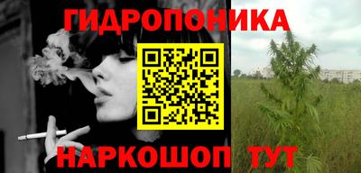 apvp Нальчик