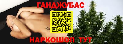 apvp Нальчик