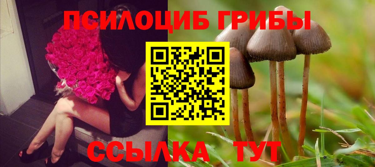 Галлюциногенные грибы мухоморы  Вход с VPN  Ульяновск 