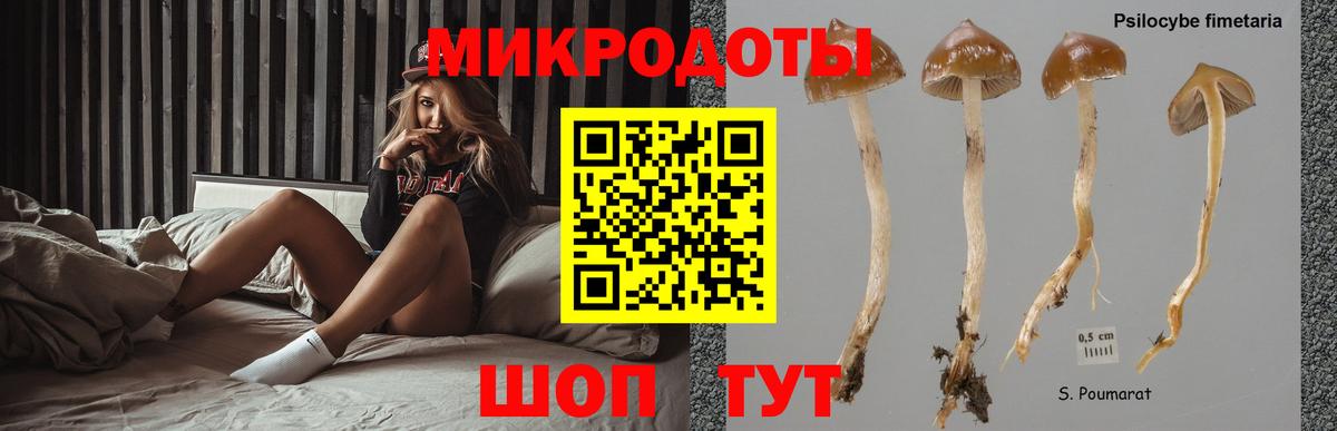 Галлюциногенные грибы прущие грибы Ульяновск